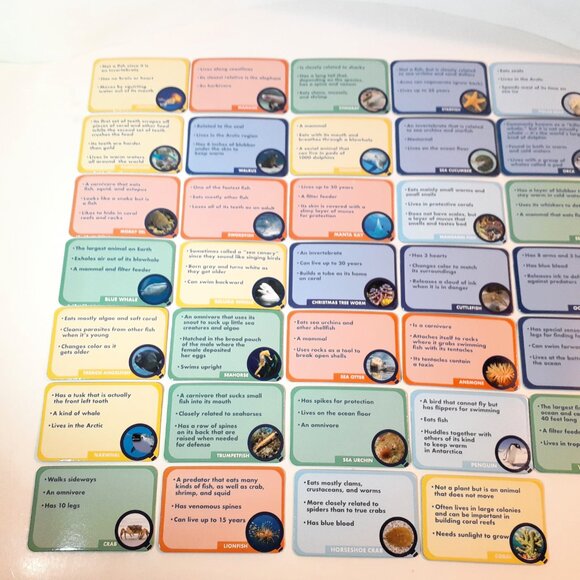 THE YOUNG SCIENTISTS CLUB - OCEANS ANIMAL GAMES - Picture 16 of 16